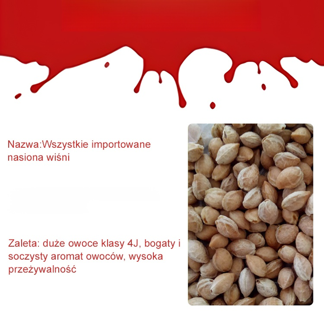 Nasiona wiśni Chelsea