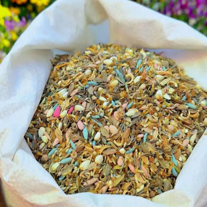 🔥Ostatni dzień wyprzedaży💐Mieszane nasiona kwiatów bylinowych - ponad 60 rodzajów mieszanych