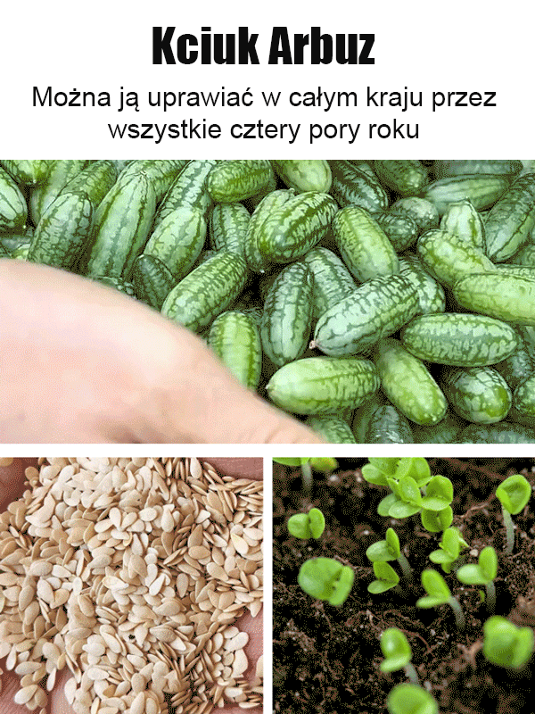 Nasiona arbuza kciuka