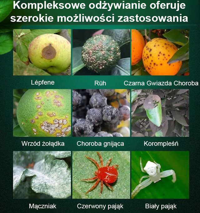 Skuteczna ochrona roślin i drzew owocowych — jedno opakowanie wystarcza na aż 1000 litrów wody
