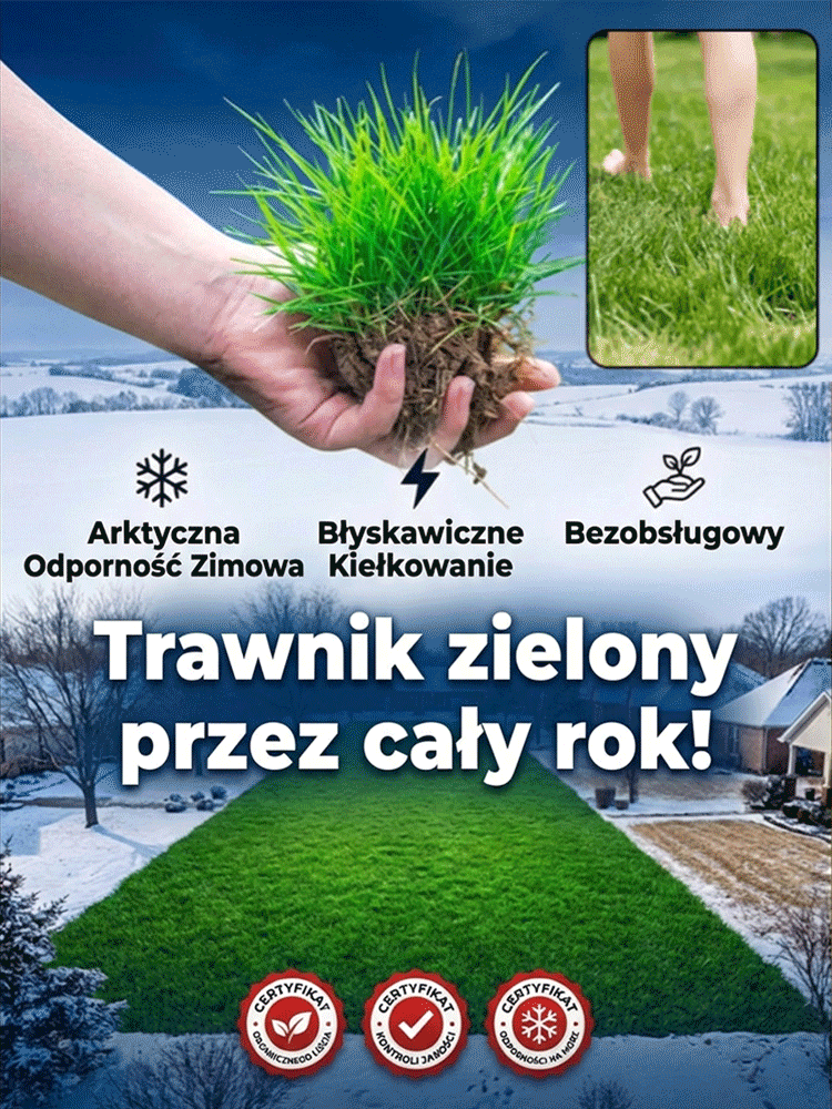 【Kiełkowalność 99%】Całoroczne mrozoodporne nasiona trawy na trawnik