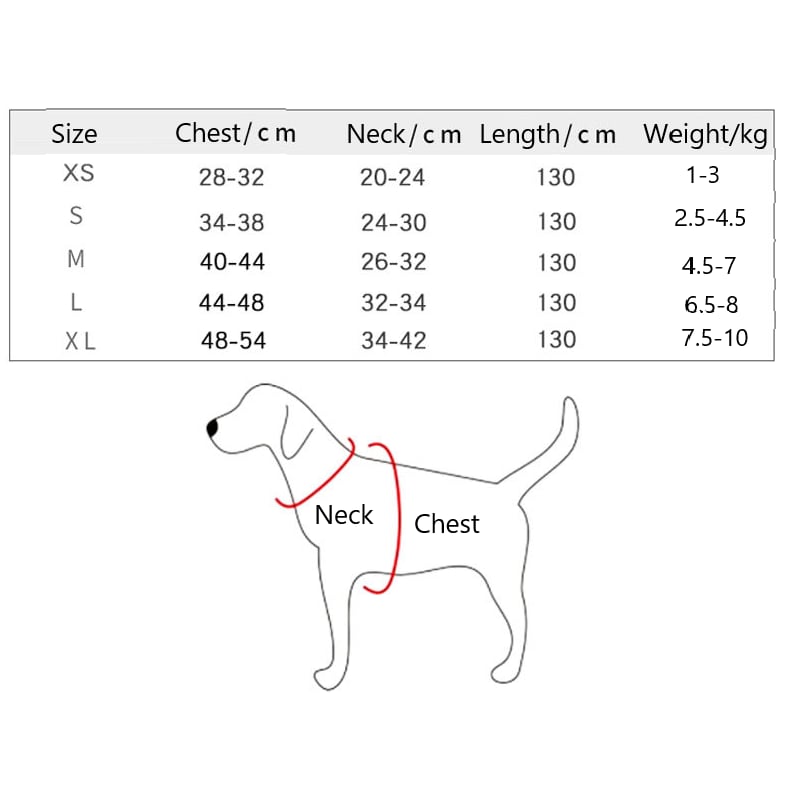 Smycz dla zwierząt z pasem piersiowym i paskiem