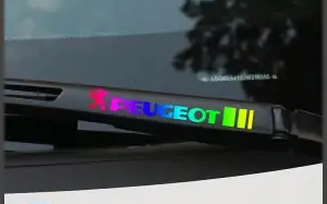 OSTATNIA WYPRZEDAŻ🎉50% ZNIŻKI🎉Kreatywna naklejka na wycieraczki samochodowe 🎉4 SZT🎉