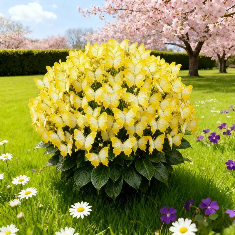 🦋🌈 Fantazyjne cebulki motyli – eksplozja koloru w każdym płatku! 🌸