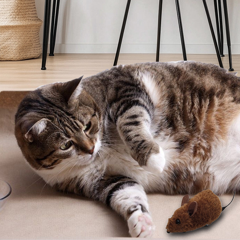 【🔥Kup 1 i otrzymaj 1 gratis】🐭Małe zabawki myszy dla kotów i psów