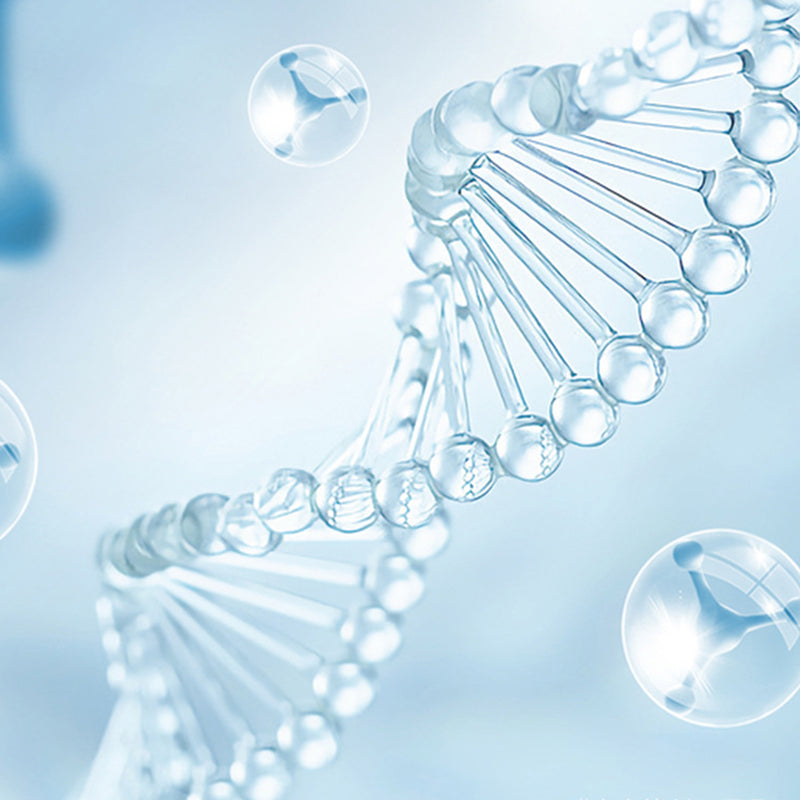 🚽Zestaw lampy do sterylizacji WC UV -✨Czyste i wolne od bakterii